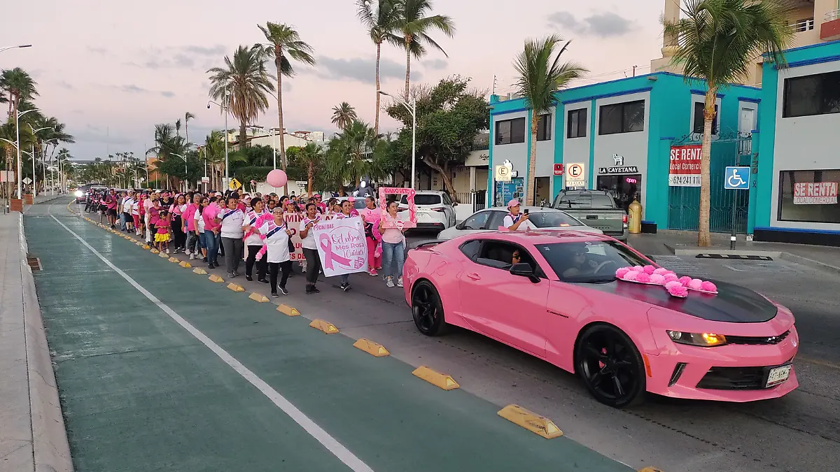 marcha cancer de mama la paz